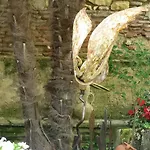 Отель De France