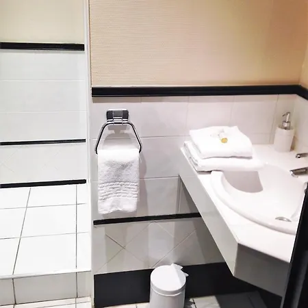 法兰西酒店 酒店 贝尔热拉克
